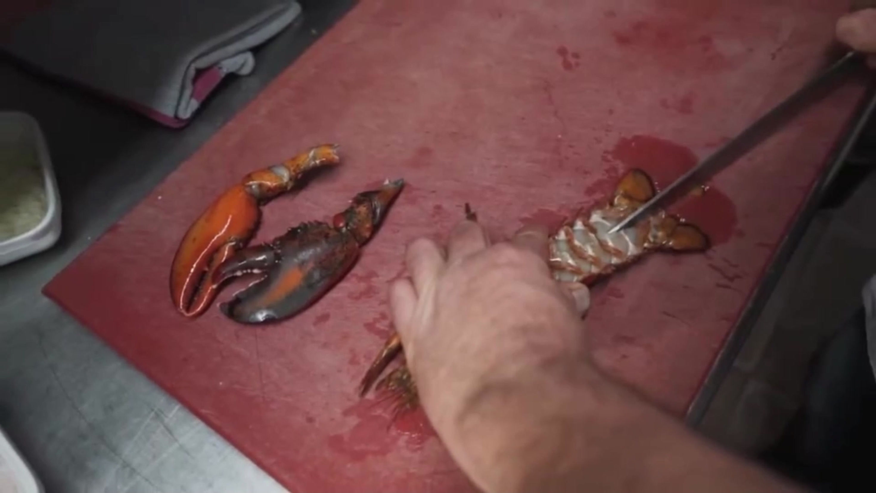 don pepe tapas bar introduction